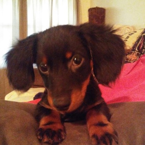 Meet your Posher, Regina - Picture 1 of 1